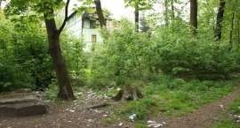 zdjęcie nr 13