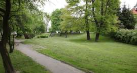 zdjęcie nr 18