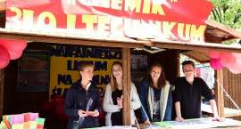 zdjęcie nr 29