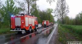 zdjęcie nr 7