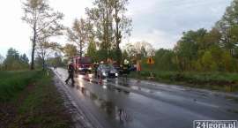 zdjęcie nr 12
