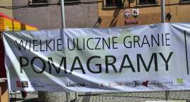 zdjęcie nr 11