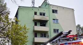zdjęcie nr 16