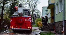 zdjęcie nr 8