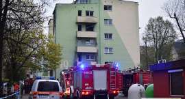 zdjęcie nr 17
