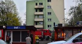 Fotka nr 2 z 19