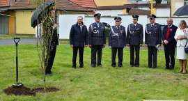 zdjęcie nr 63