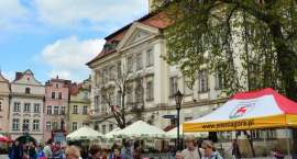 zdjęcie nr 59