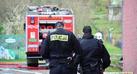 Fotka nr 5 z 11