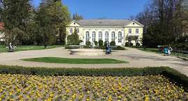 zdjęcie nr 19