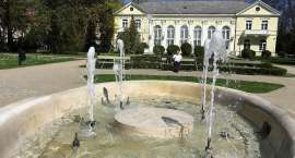 zdjęcie nr 21