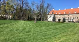 zdjęcie nr 12