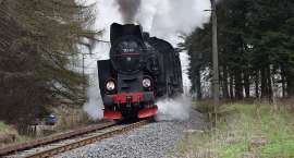 Fotka nr 3 z 46