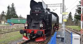 Fotka nr 4 z 46