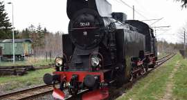 zdjęcie nr 13