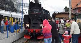 zdjęcie nr 8
