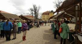 zdjęcie nr 13