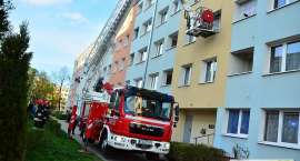 zdjęcie nr 9