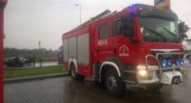 Fotka nr 1 z 4