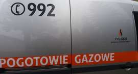 zdjęcie nr 8