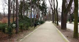 zdjęcie nr 9