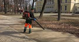 zdjęcie nr 12