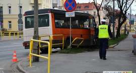 zdjęcie nr 11