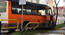 zdjęcie nr 7