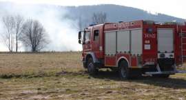 Fotka nr 4 z 27