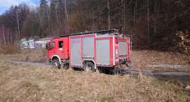Fotka nr 5 z 14