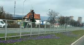 zdjęcie nr 4