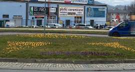 zdjęcie nr 3