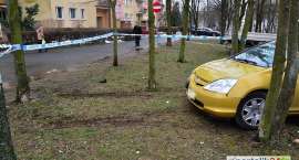 zdjęcie nr 8