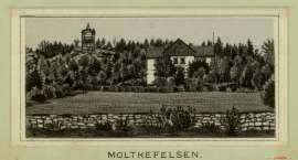 Fotka nr 1 z 3