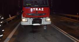 zdjęcie nr 10