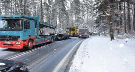 Fotka nr 1 z 17