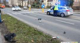Fotka nr 5 z 18