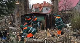 zdjęcie nr 9