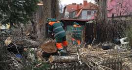 zdjęcie nr 7