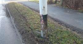 zdjęcie nr 10