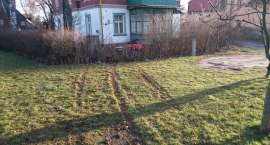 Fotka nr 3 z 11