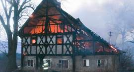 zdjęcie nr 13