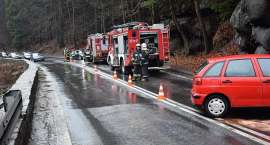 Fotka nr 2 z 14