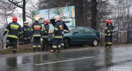 zdjęcie nr 10