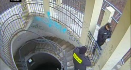 Fotka nr 5 z 7