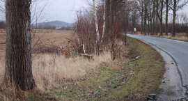 Fotka nr 5 z 11