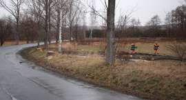 zdjęcie nr 9