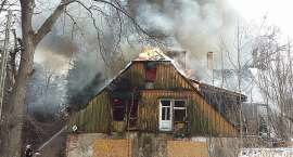 zdjęcie nr 16