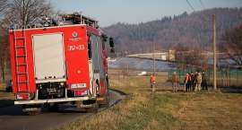 Fotka nr 3 z 10