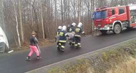 Fotka nr 2 z 12